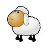 Sheep Picture.jpg